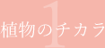 植物のチカラ01