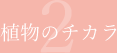 植物のチカラ02