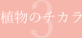植物のチカラ03