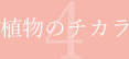 植物のチカラ04