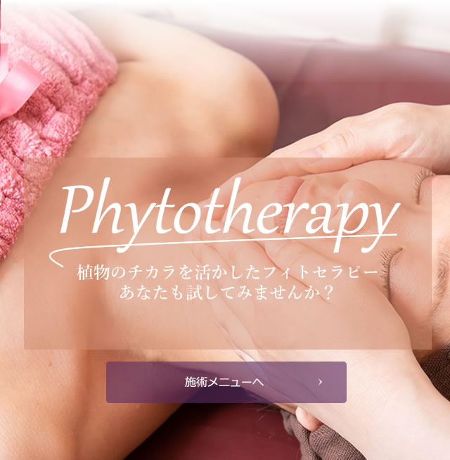 phytotherapy植物のチカラ_施術メニューへ