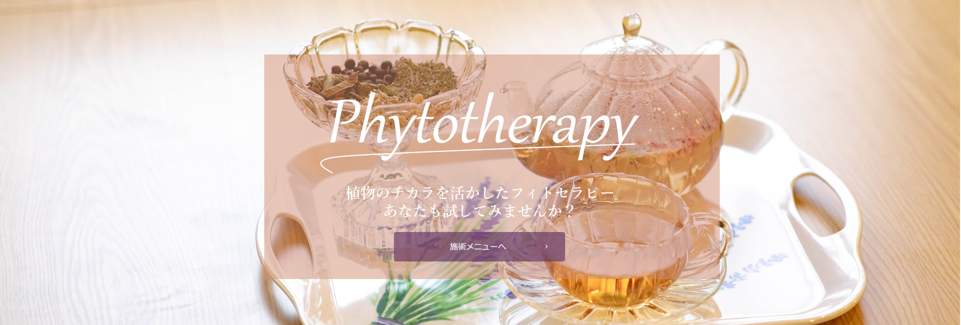phytotherapy植物のチカラ_施術メニューへ