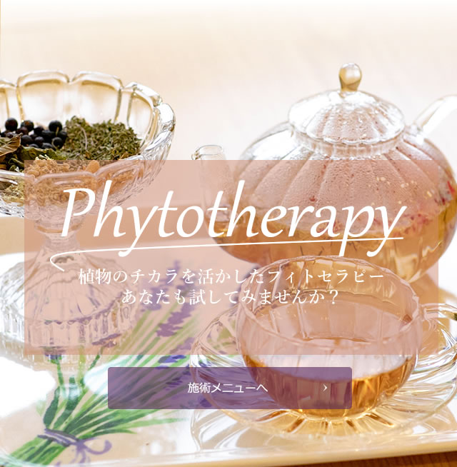 phytotherapy植物のチカラ_施術メニューへ