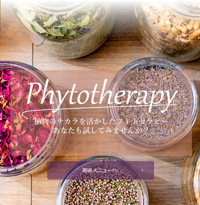 phytotherapy植物のチカラ_施術メニューへ