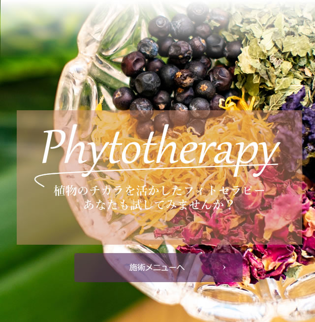 phytotherapy植物のチカラ_施術メニューへ